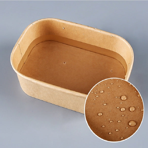 Biodegradable Salad Sandwich Takeout Containers With Lids