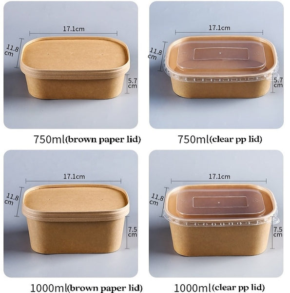 Biodegradable Salad Sandwich Takeout Containers With Lids